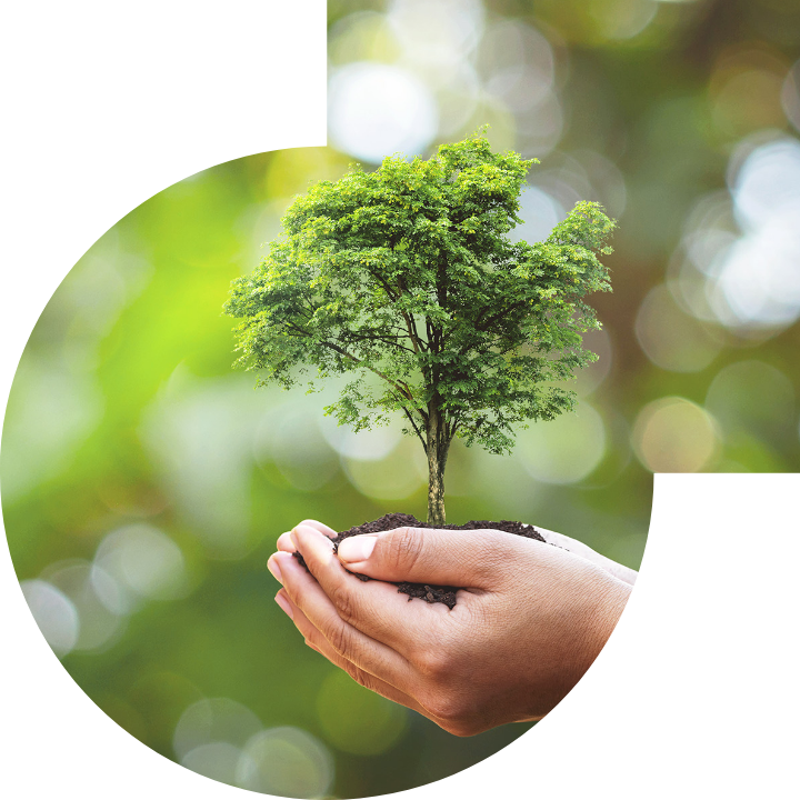 关怀人类、文化、环境与社会